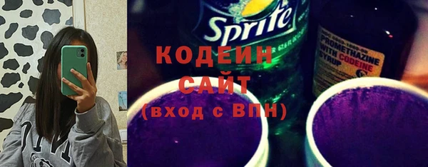 хмурый Ладушкин
