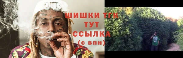 ГАЛЛЮЦИНОГЕННЫЕ ГРИБЫ Кукмор