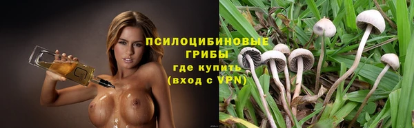 ГАЛЛЮЦИНОГЕННЫЕ ГРИБЫ Кукмор