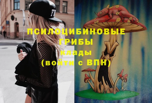 мяу мяу мука Куйбышев