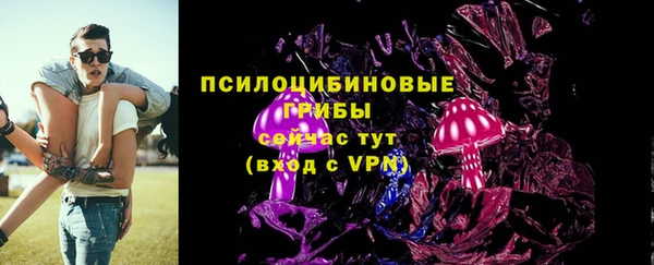 ГАЛЛЮЦИНОГЕННЫЕ ГРИБЫ Кукмор
