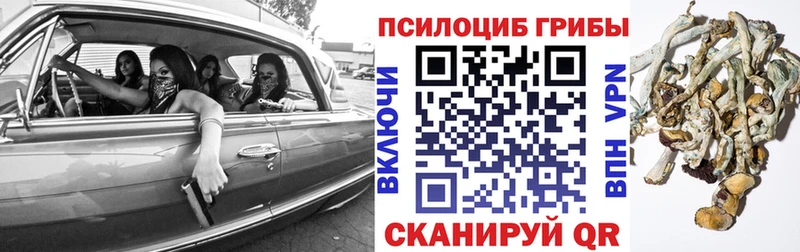 Псилоцибиновые грибы GOLDEN TEACHER  наркотики  Лысково 